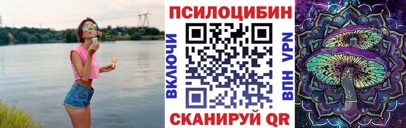 Галлюциногенные грибы Psilocybe  Яранск 